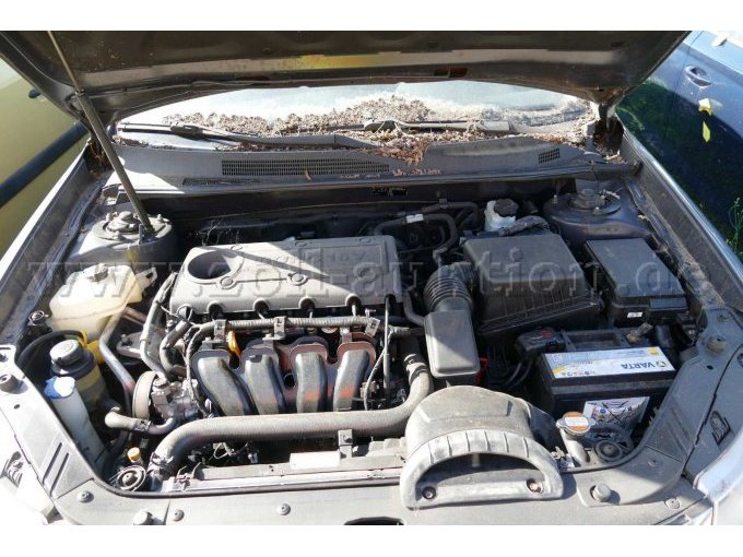 Motor