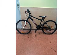 Das Fahrrad