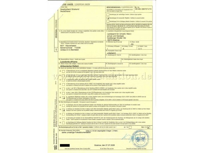 EU-Vermarktungsbescheinigung