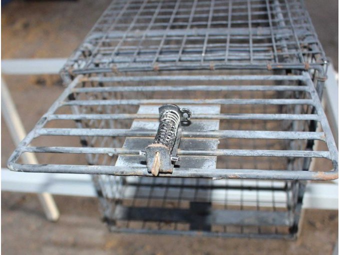 Schließvorrichtung Lebendfalle