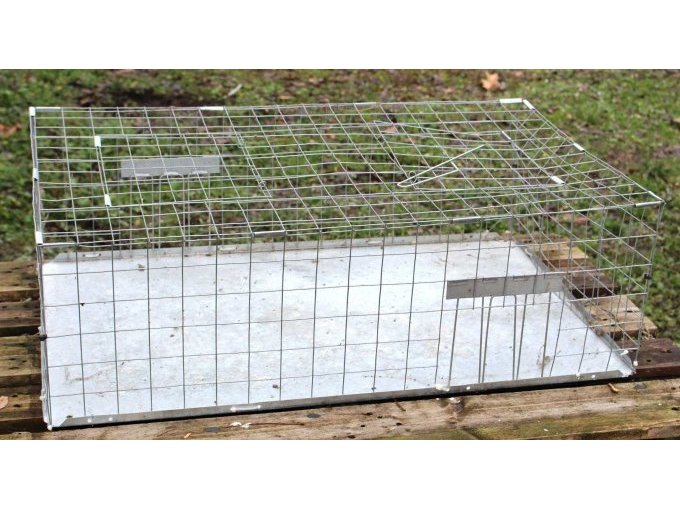 Ansicht Taubentransportkäfig