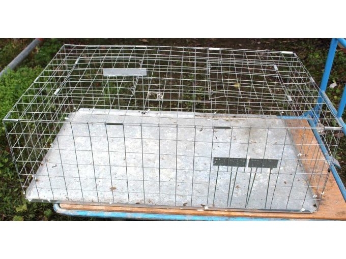 Ansicht Taubentransportkäfig