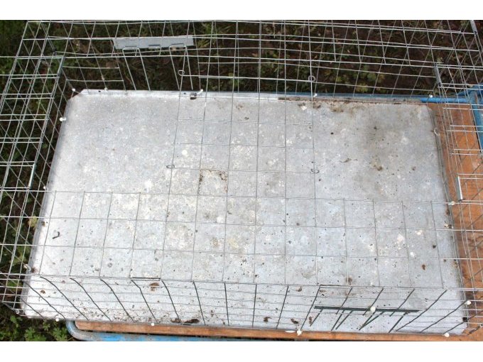 Detailansicht Taubentransportkäfig Eingriff oben