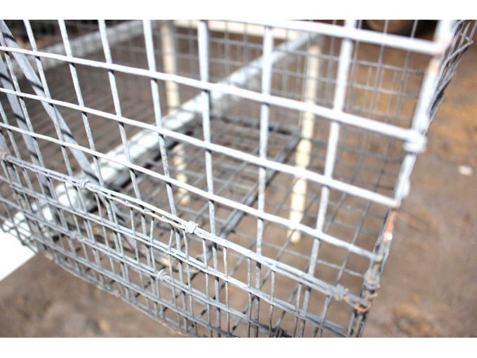 Verbogener Draht Lebendfalle