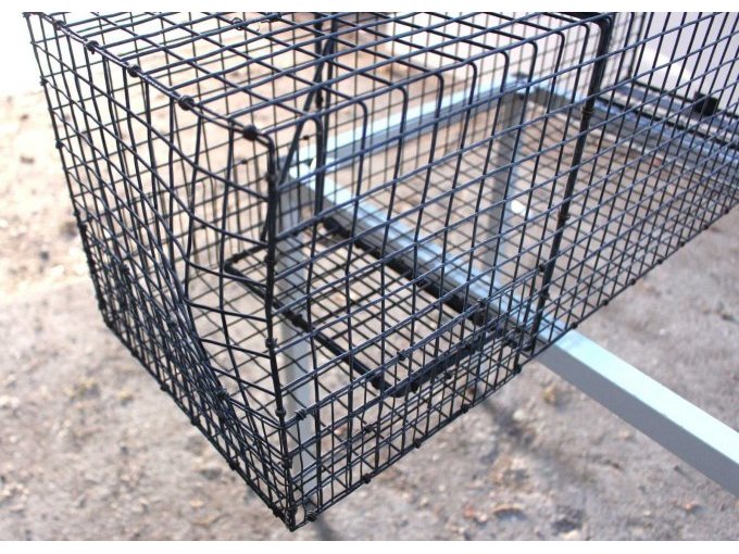 Verbogener Draht Lebendfalle