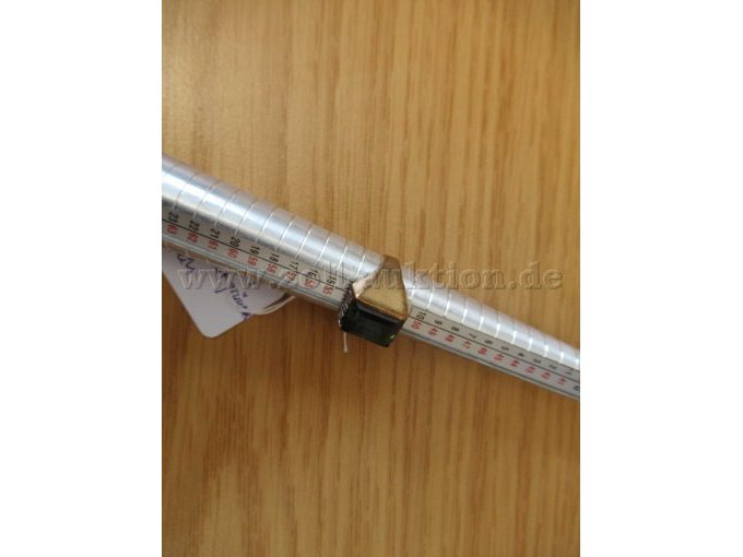 Goldring Nr. 6 Seitenanicht