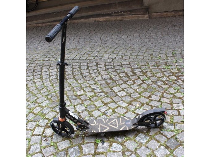 Cityroller: Ansicht Fahrzeug