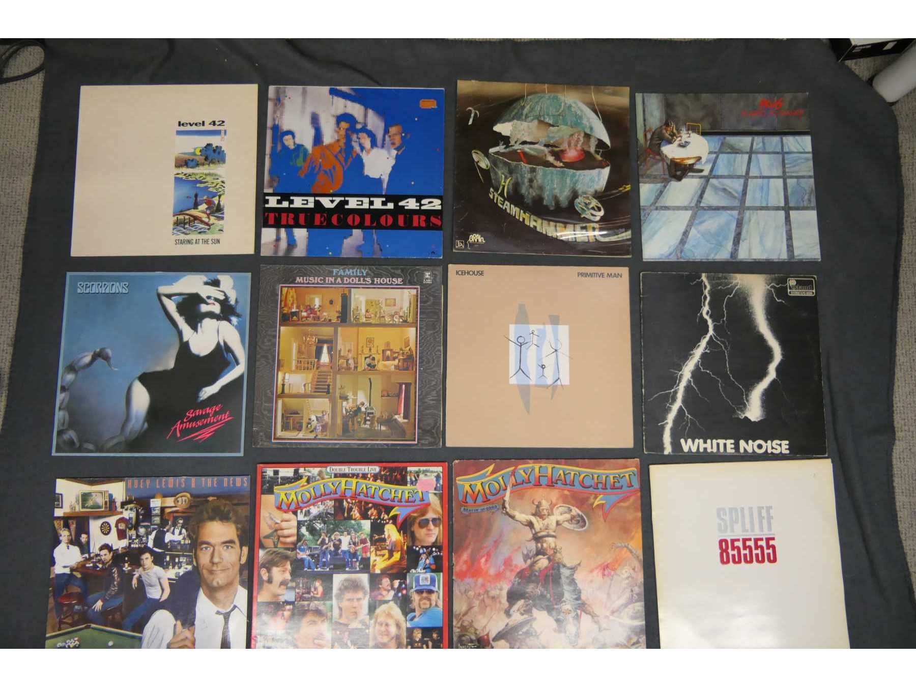 Ansicht Vorderseite der ersten 12 Stk. Schallplatten