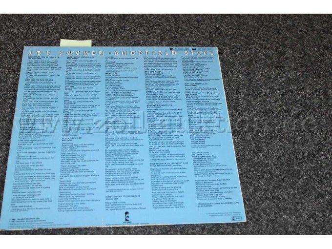 1 set van 10 grammofoonplaten – foto 10 – kavel bij Zoll-Auktion, Koblenz