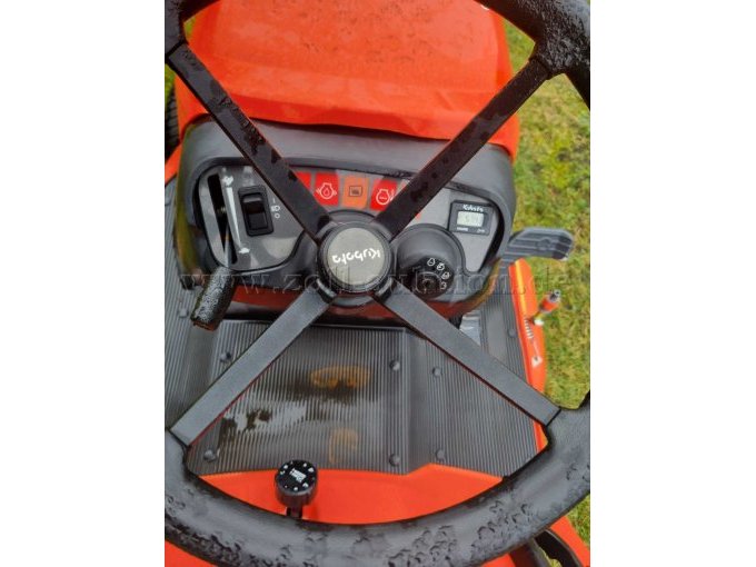 Lenkrad und Stundzähler