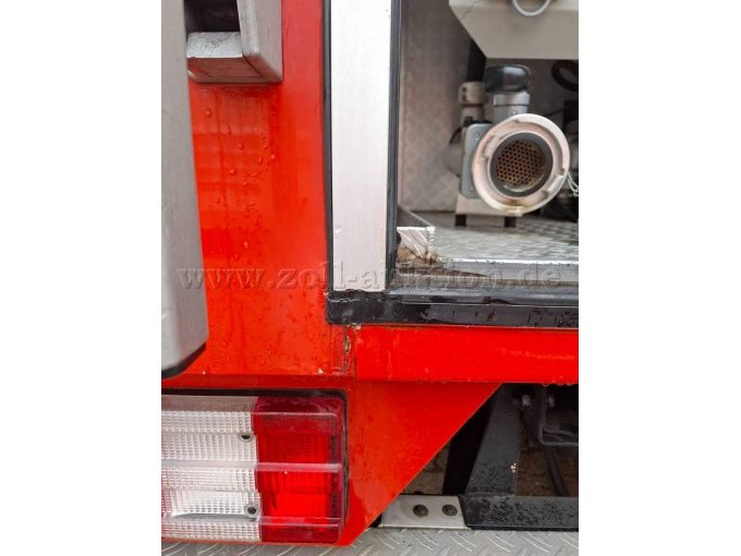 Detail Heck - Ausblühungen