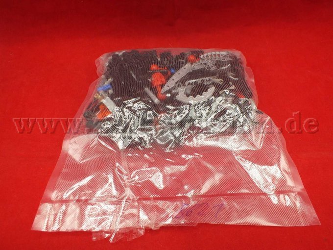 Gesamtansicht der Auktion