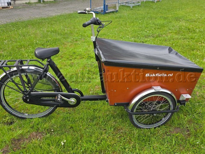 Lastenrad Seitenansicht von rechts