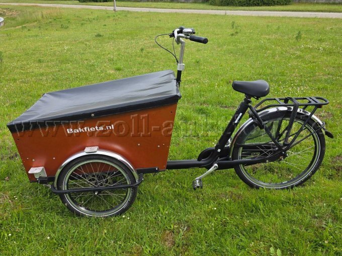 Lastenrad Seitenansicht von links