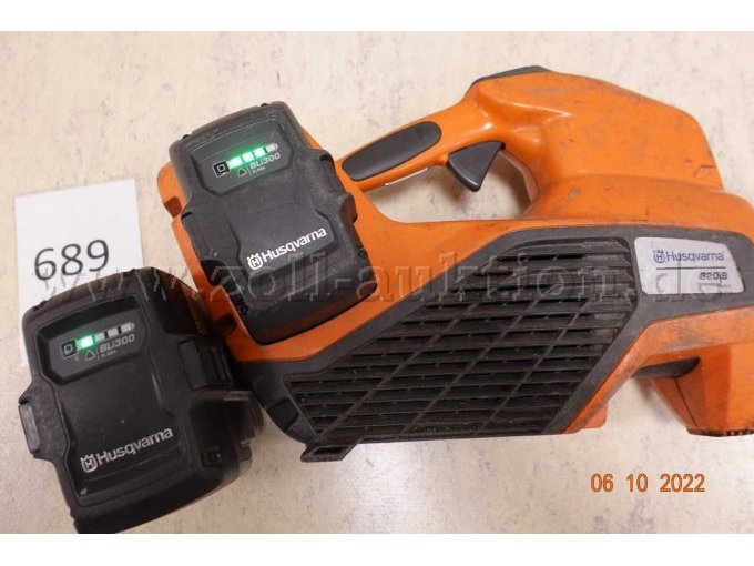 Akku mit Laubbläser