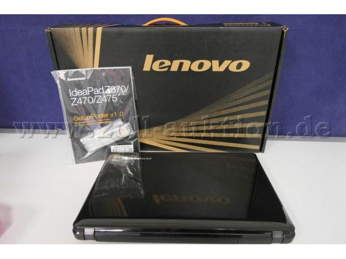 Gesamtansicht der Auktion