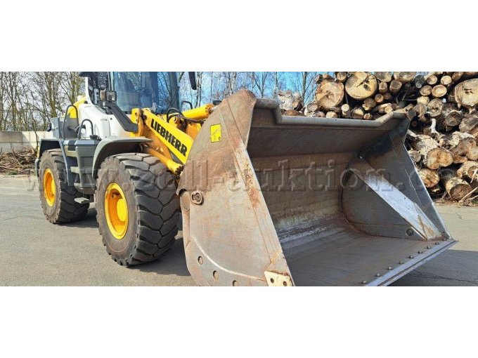 Seitliche Frontansicht