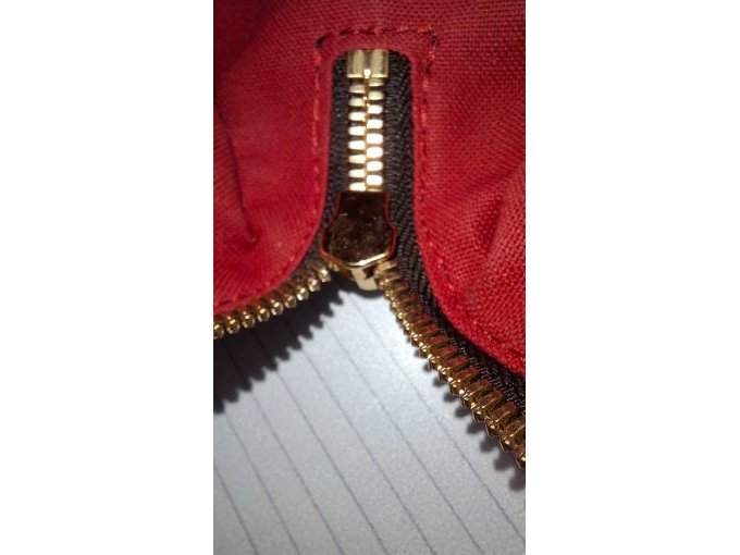 Louis Vuitton Speedy 20