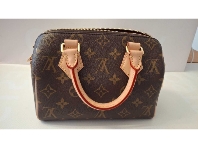 Louis Vuitton Speedy 20