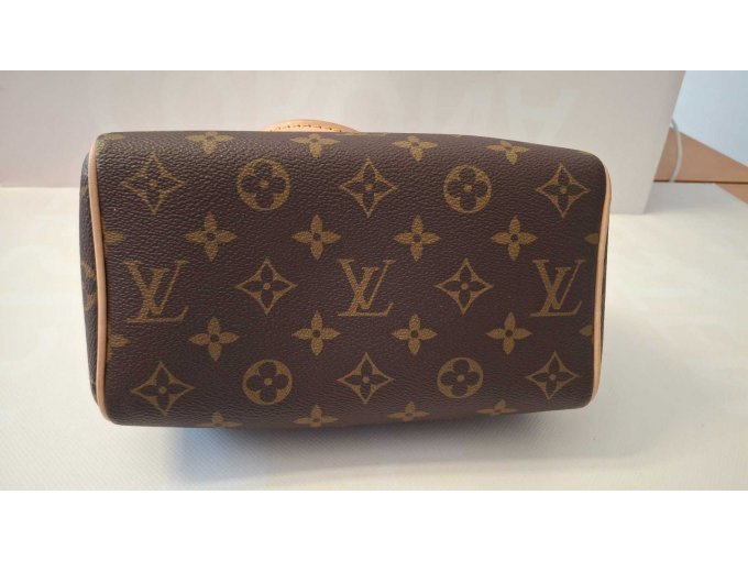 Louis Vuitton Speedy 20