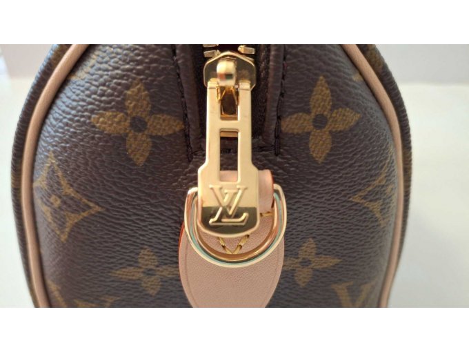 Louis Vuitton Speedy 20