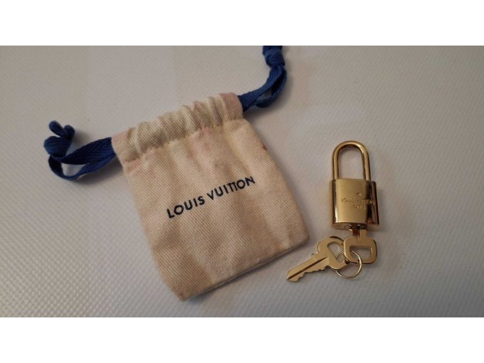 Louis Vuitton Speedy 20