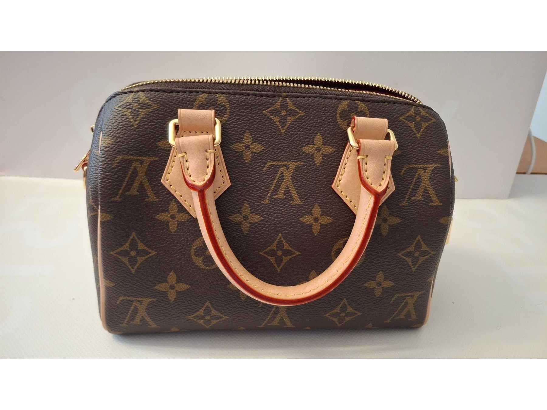Louis Vuitton Speedy 20