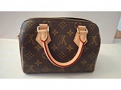 Louis Vuitton Speedy 20