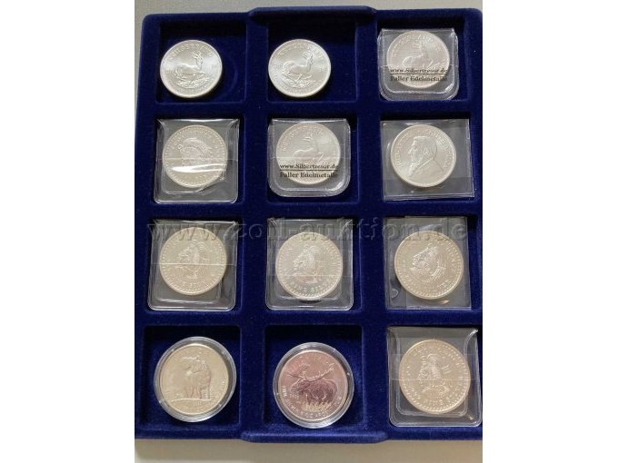 12 Silbermünzen verschiedene Motive je 1 Oz