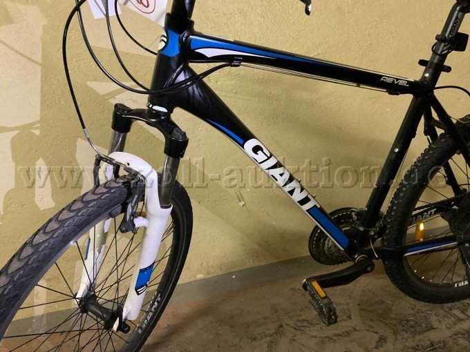 urban e-bike Soltera 2.5 Ebike