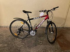 Vollbild (von rechts)