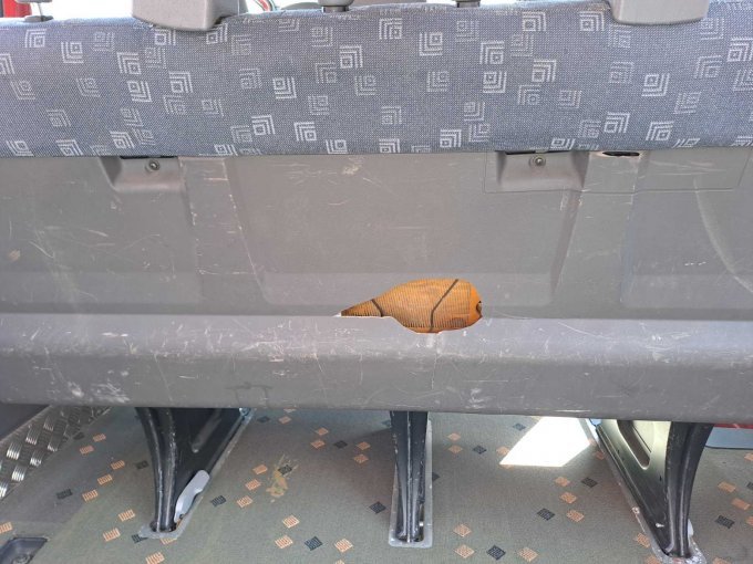 Ansicht Sitzbank zweite Reihe