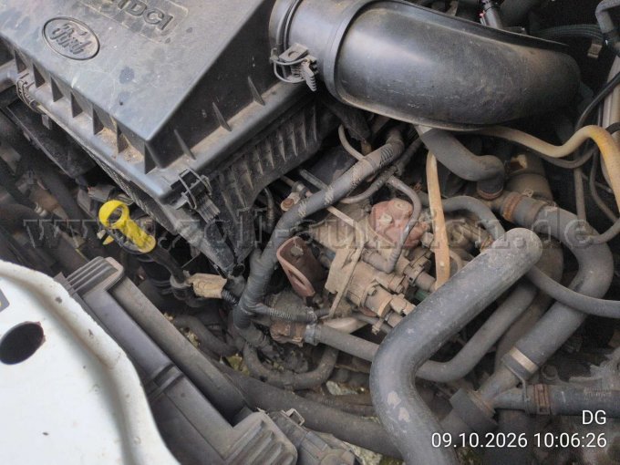 1 Mannschaftstransportwagen (MTW) Ford Transit – foto 14 – kavel bij Zoll-Auktion, Britz