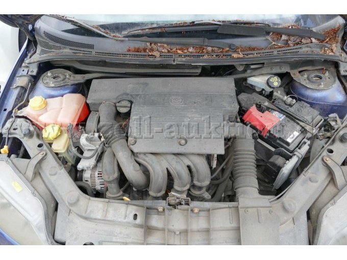 Motor