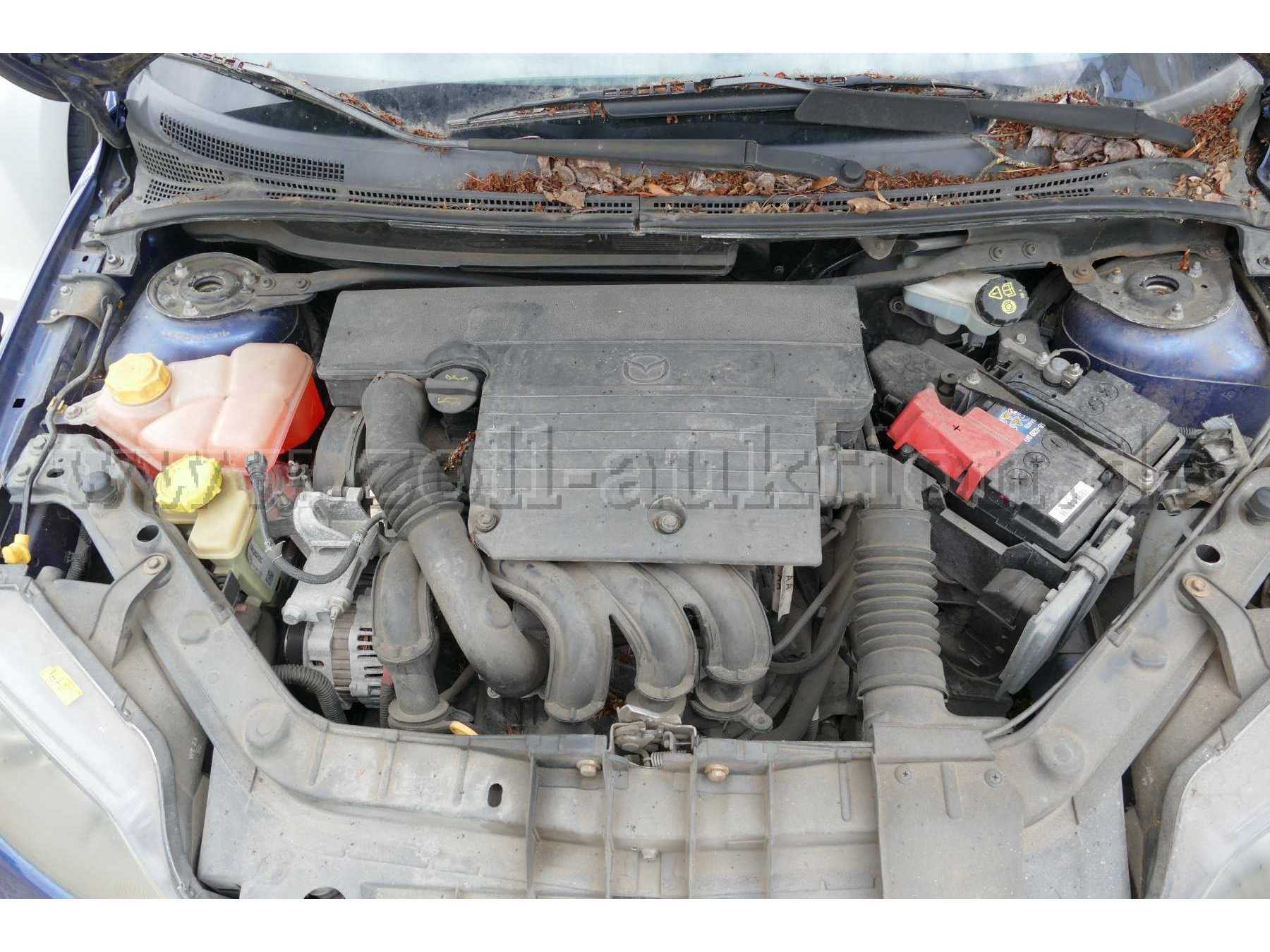 Motor