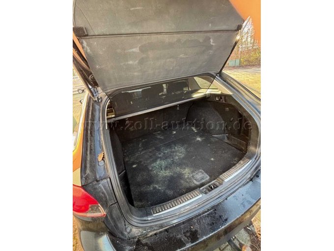 Bild des Kofferaums mit Schimmel