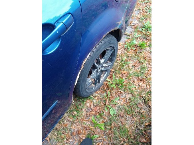 Radlauf hinten links Rost und Spachtelmasse