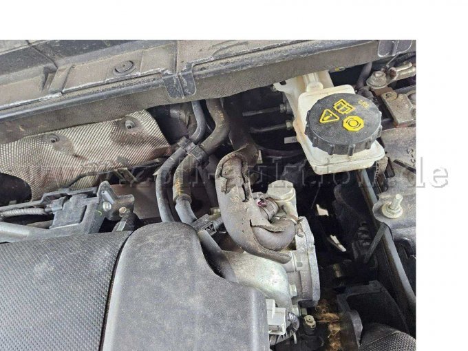 Motorraum Kleintierschaden