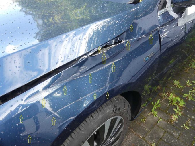 Kotflügel vorne links mit Unfallschaden