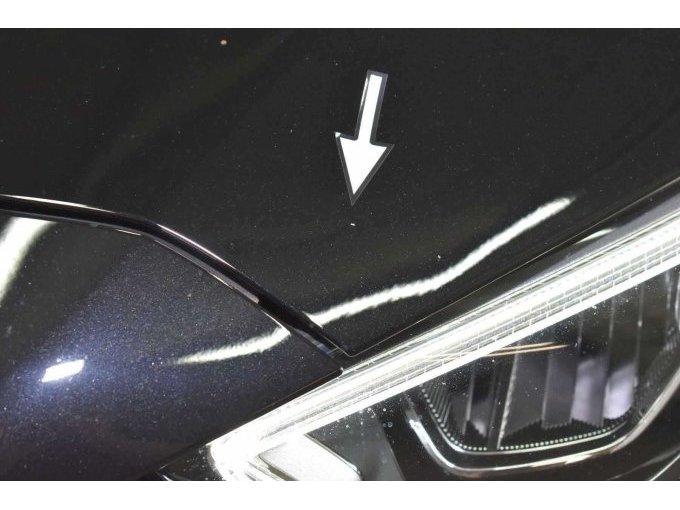 Fahrzeugfront u. Motorhaube: Überhöhte Anzahl an Steinschlägen (Beispiel-/Detailfoto)