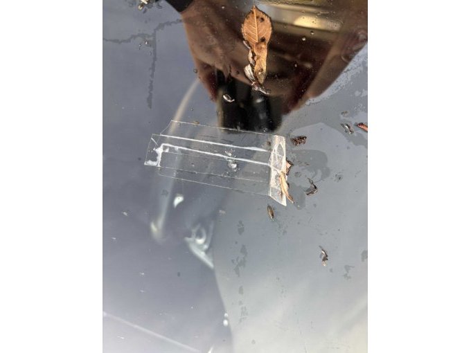 Steinschlag mit Rissbildung im Fahrer-Sichtbereich