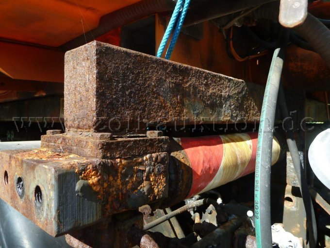 Rost