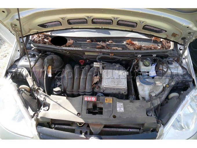 Motor