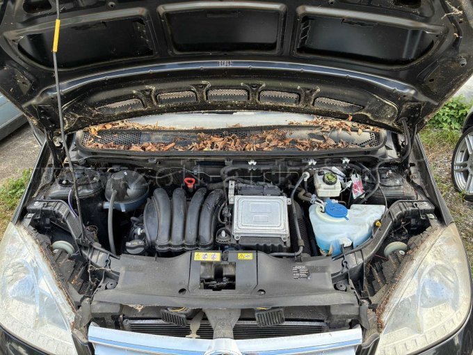 Motor