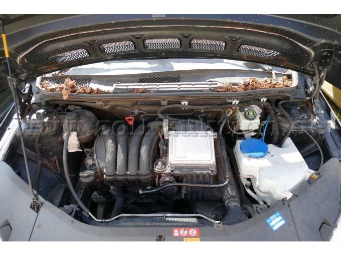 Motor