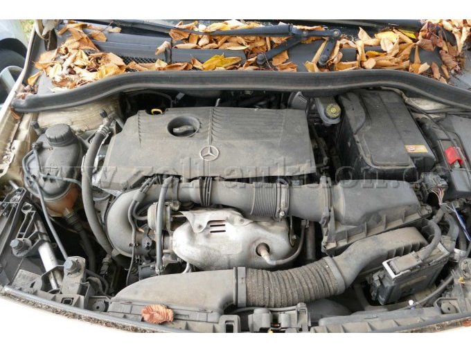 1 Mercedes B 200 Natural Gas Taxi mit Taxameter – foto 4 – kavel bij Zoll-Auktion, Wandlitz