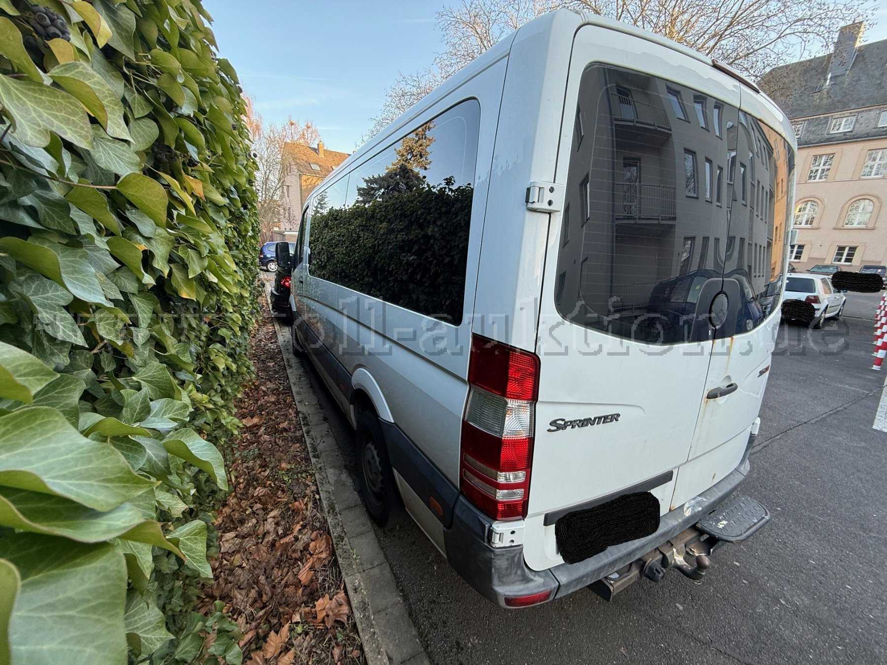 Seitenansicht Fahrerseite.jpg