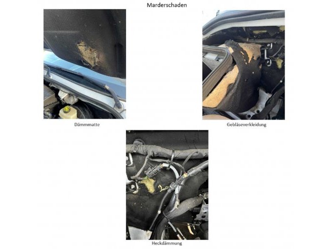 Marderschaden an Gebläseverkleidung, Dämmmatte und Heckdämmung