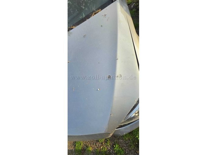 Schaden Motorhaube