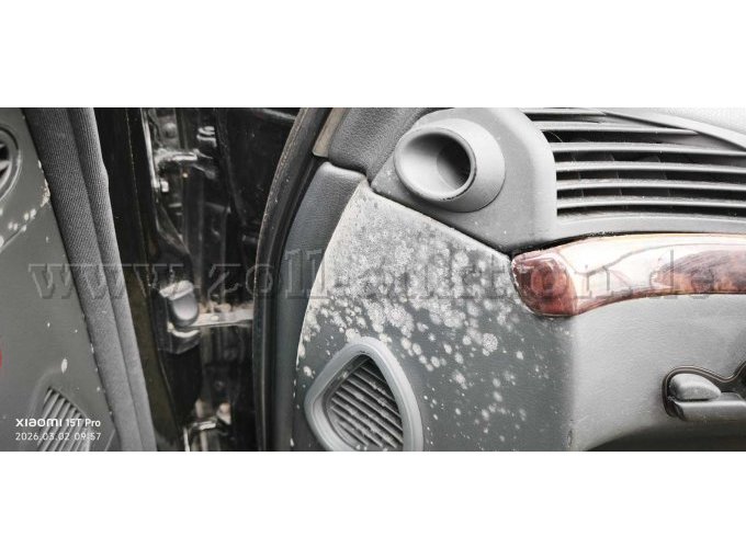 Schimmel Beifahrertür